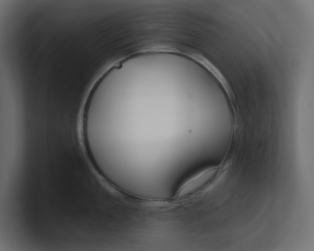 X0000100370909200806271441