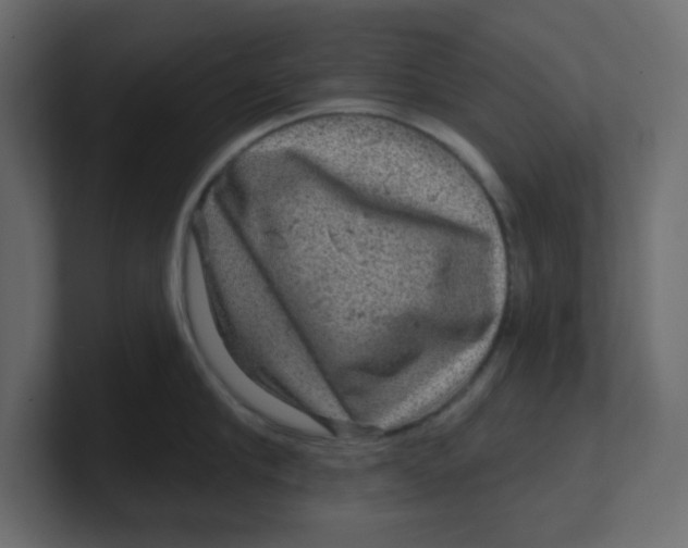 X0000100370910200806271441