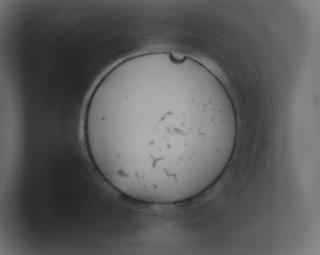 X0000100370912200806271441