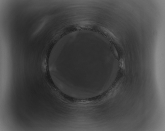 X0000100370915200806271441