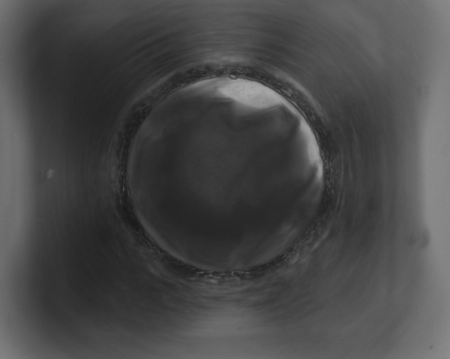 X0000100370919200806271441