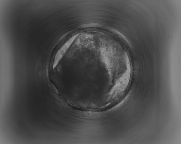 X0000100370921200806271441