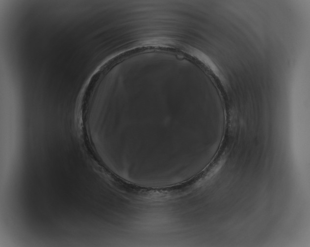 X0000100370923200806271441