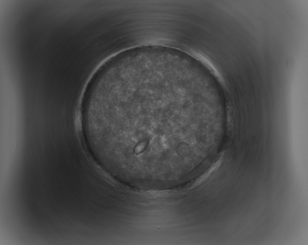 X0000100370924200806271441