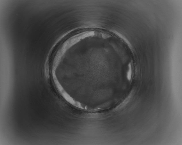 X0000100370925200806271441