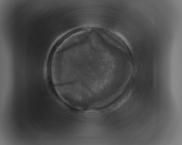 X0000100370928200806271441