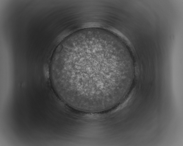 X0000100370929200806271441