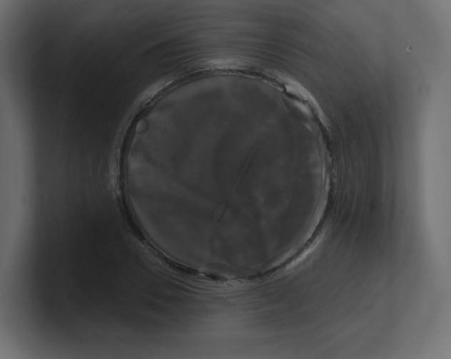 X0000100370930200806271441