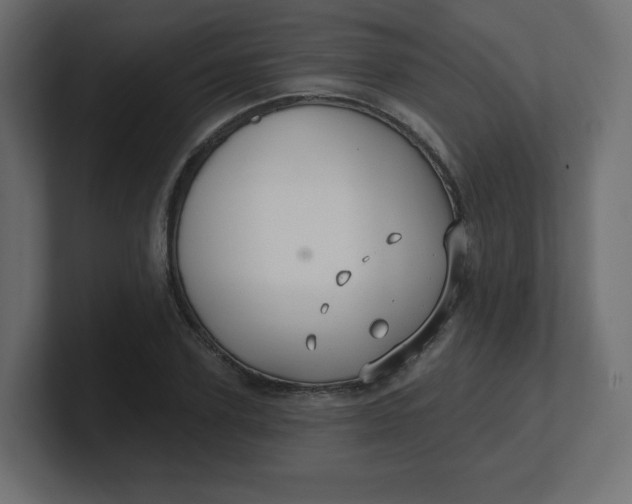 X0000100370931200806271441