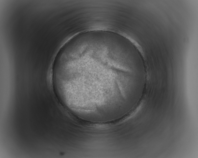 X0000100370933200806271441