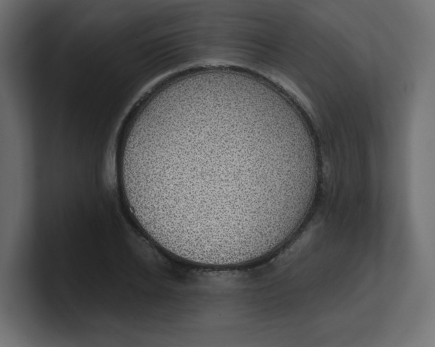 X0000100370934200806271441