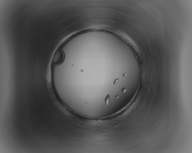 X0000100370940200806271441