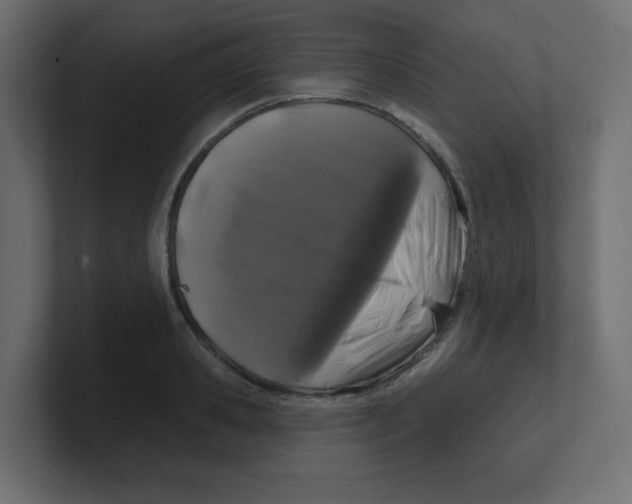 X0000100370941200806271441