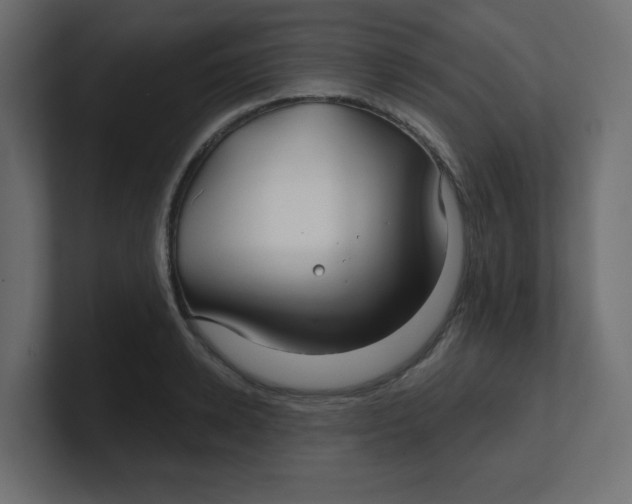 X0000100370942200806271441