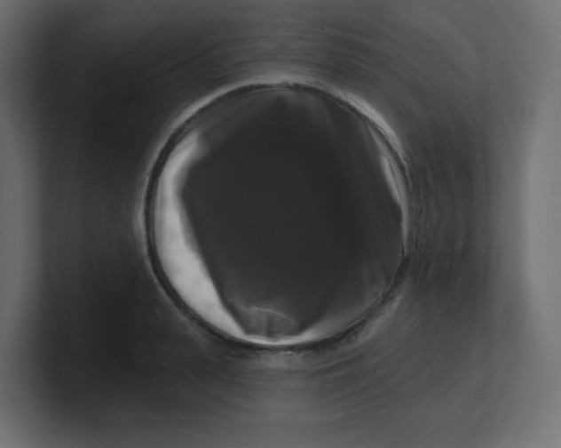 X0000100370943200806271441