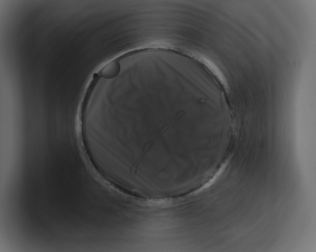 X0000100370944200806271441