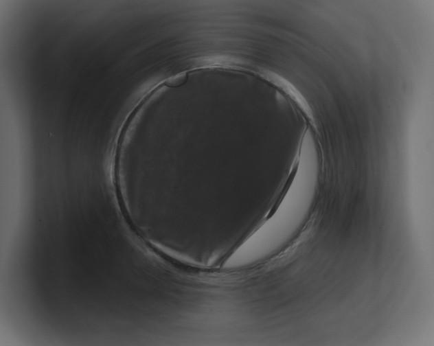 X0000100370946200806271441