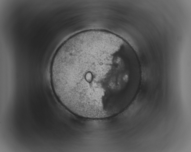 X0000100370950200806271441