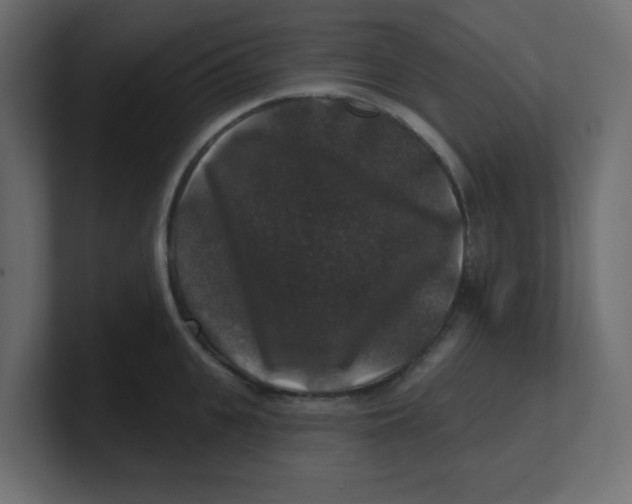 X0000100370951200806271441