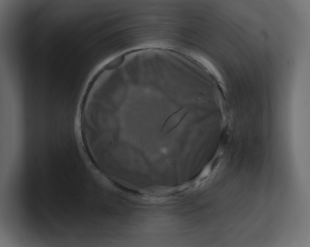 X0000100370952200806271441