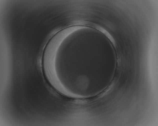 X0000100370954200806271441