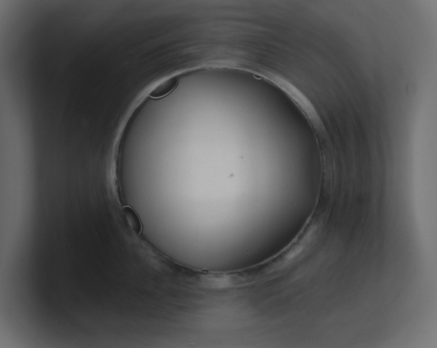 X0000100370956200806271441