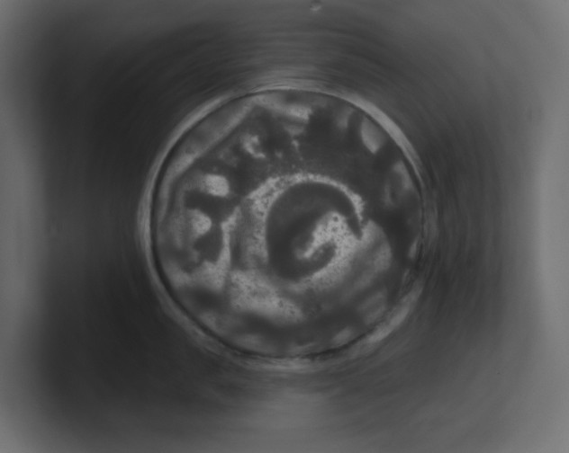 X0000100370957200806271441