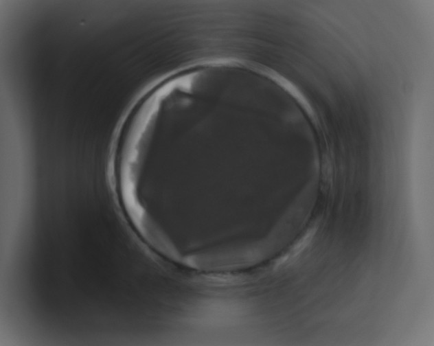 X0000100370959200806271441