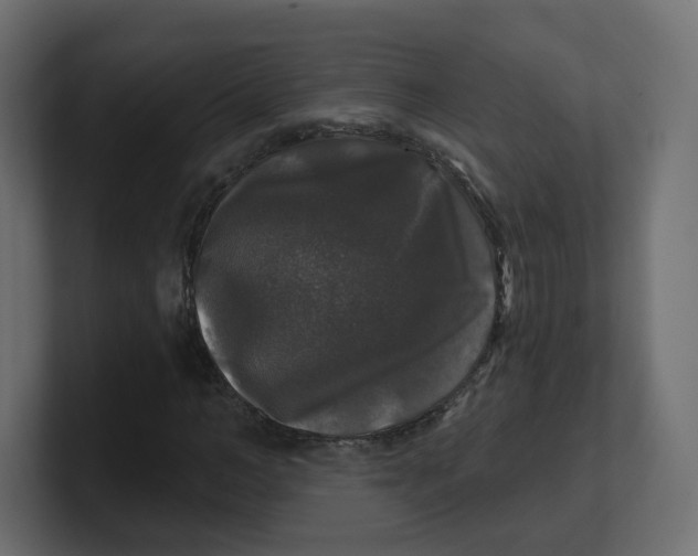 X0000100370966200806271441