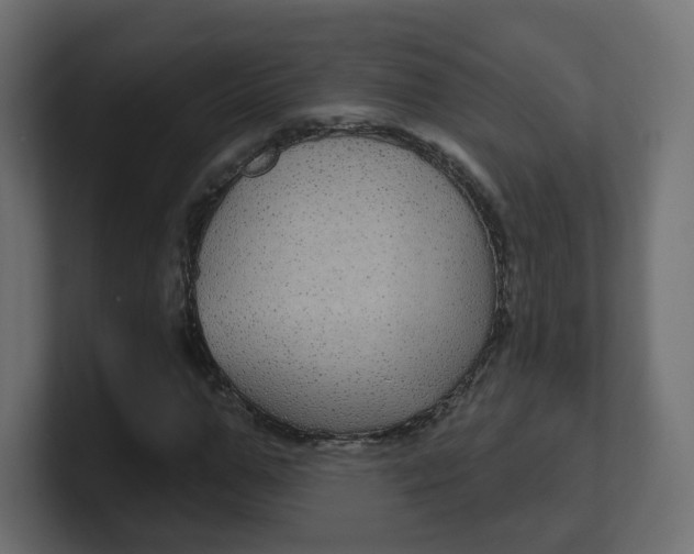 X0000100370967200806271441