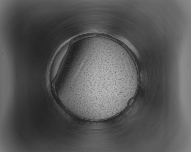 X0000100370972200806271441