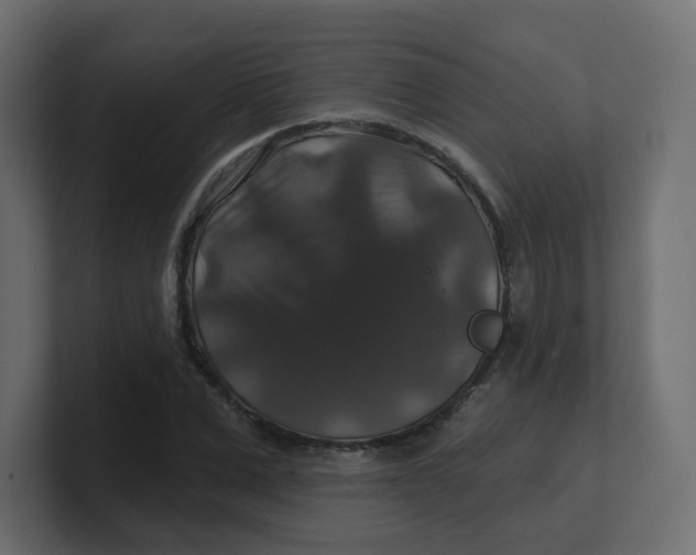 X0000100370975200806271441