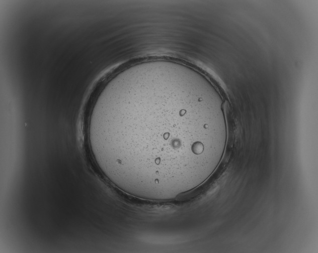 X0000100370979200806271441