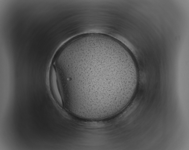 X0000100370980200806271441