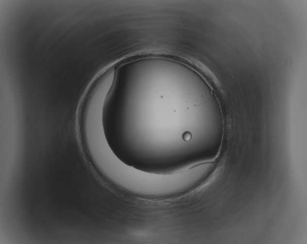 X0000100370981200806271440