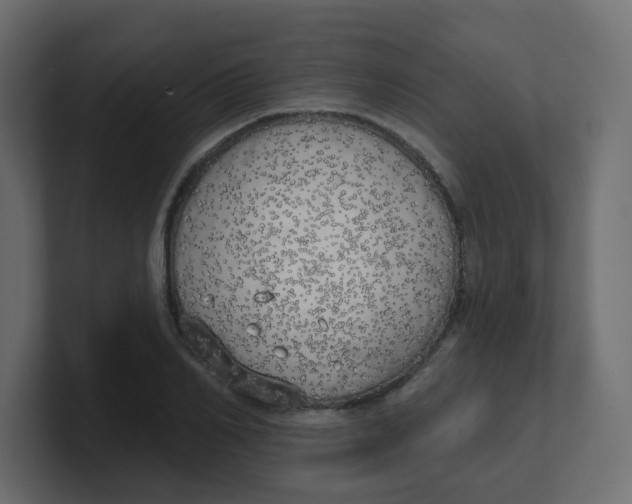 X0000100370982200806271440