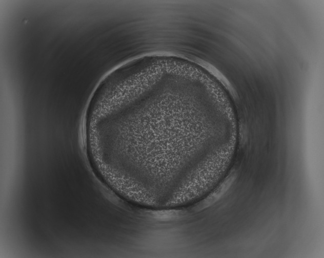 X0000100370988200806271440