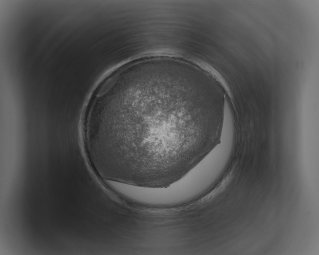 X0000100370989200806271440