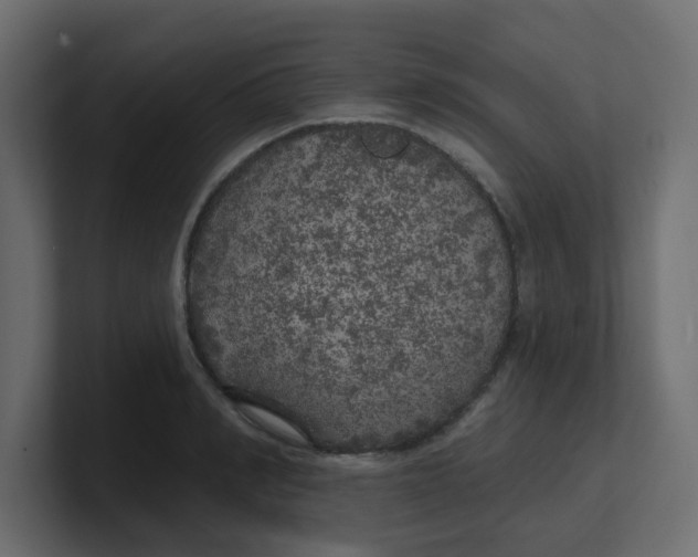 X0000100370990200806271440