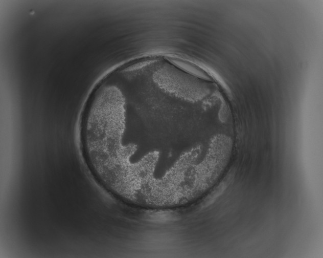 X0000100370991200806271440