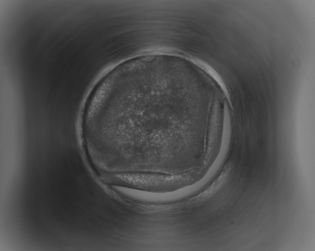 X0000100370997200806271440