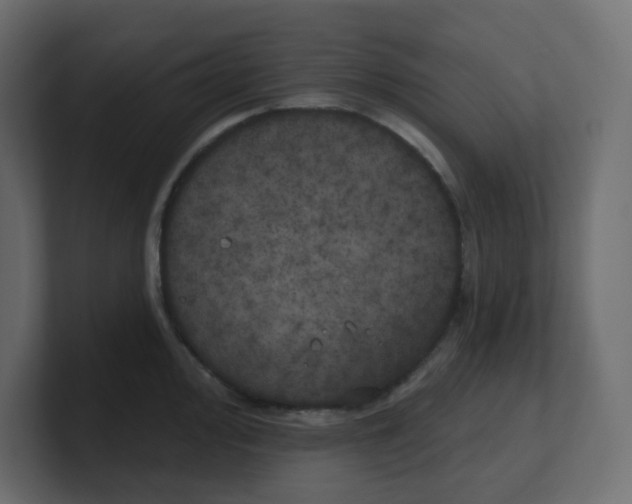 X0000100371000200806271440