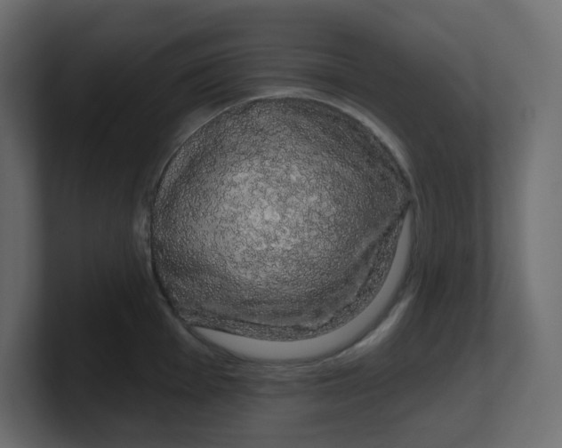 X0000100371001200806271440