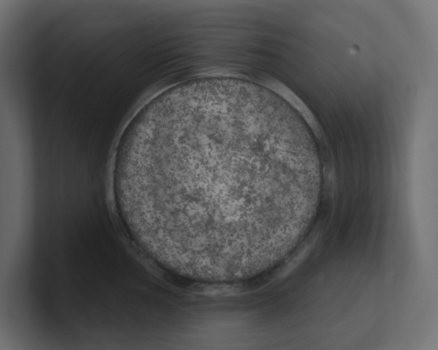 X0000100371002200806271440