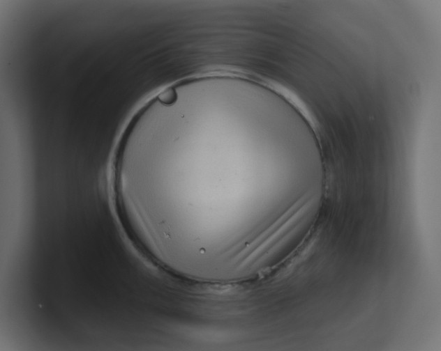 X0000100371003200806271440