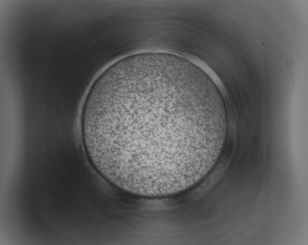 X0000100371004200806271440