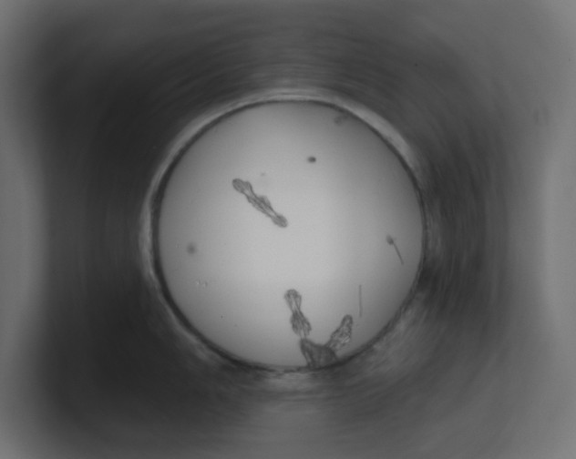 X0000100371006200806271440