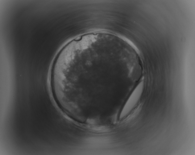 X0000100371007200806271440