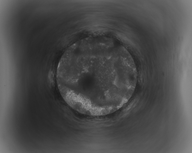 X0000100371010200806271440