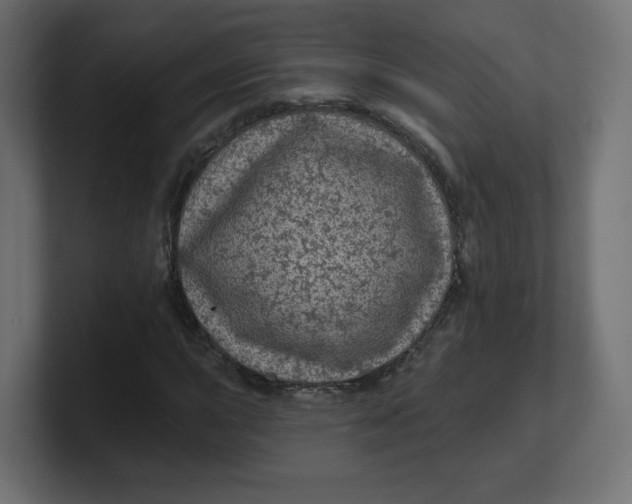 X0000100371015200806271440